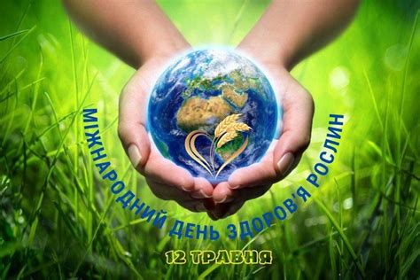 12 травня — Міжнародний день здоров’я рослин