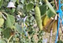 День вшанування пам’яті дітей, які загинули внаслідок збройної агресії російської федерації проти України