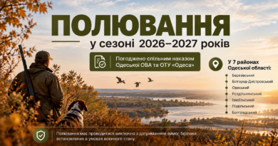 На Одещині погодили проведення полювання в сезоні 2026–2027 років